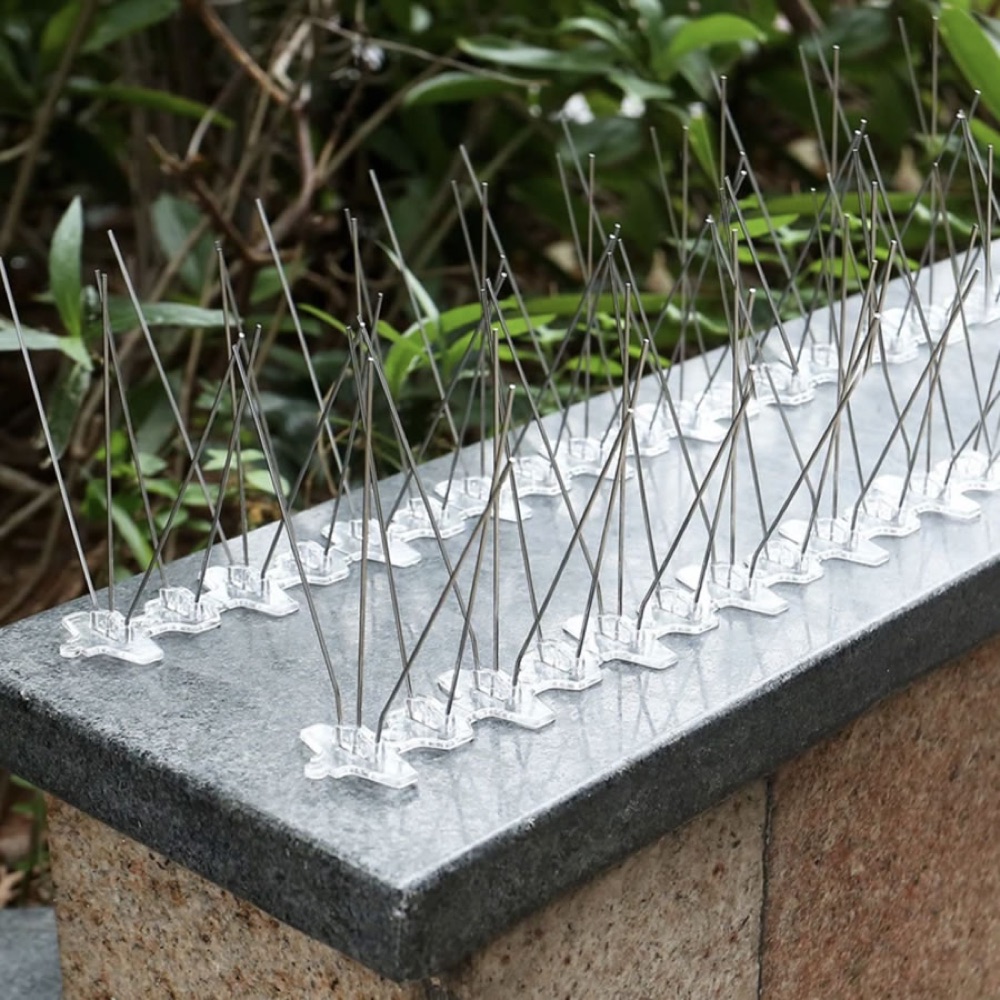 Stainless Steel Bird Spikes, image 4