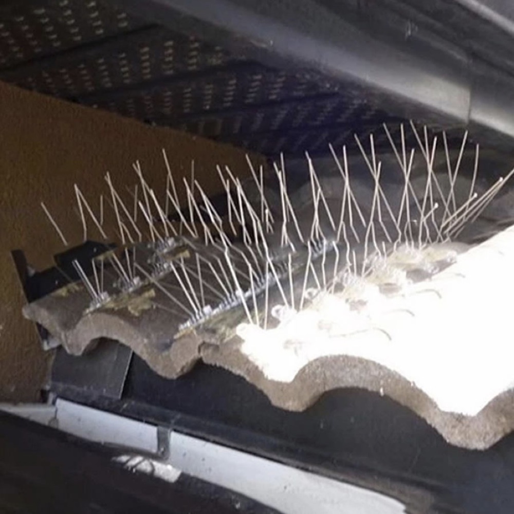Stainless Steel Bird Spikes, image 5