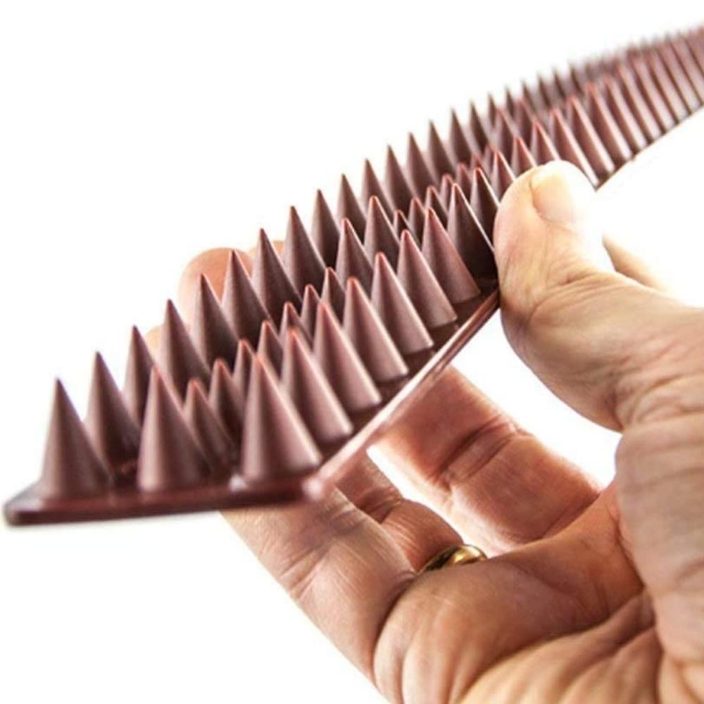 Cat Spikes, image 4