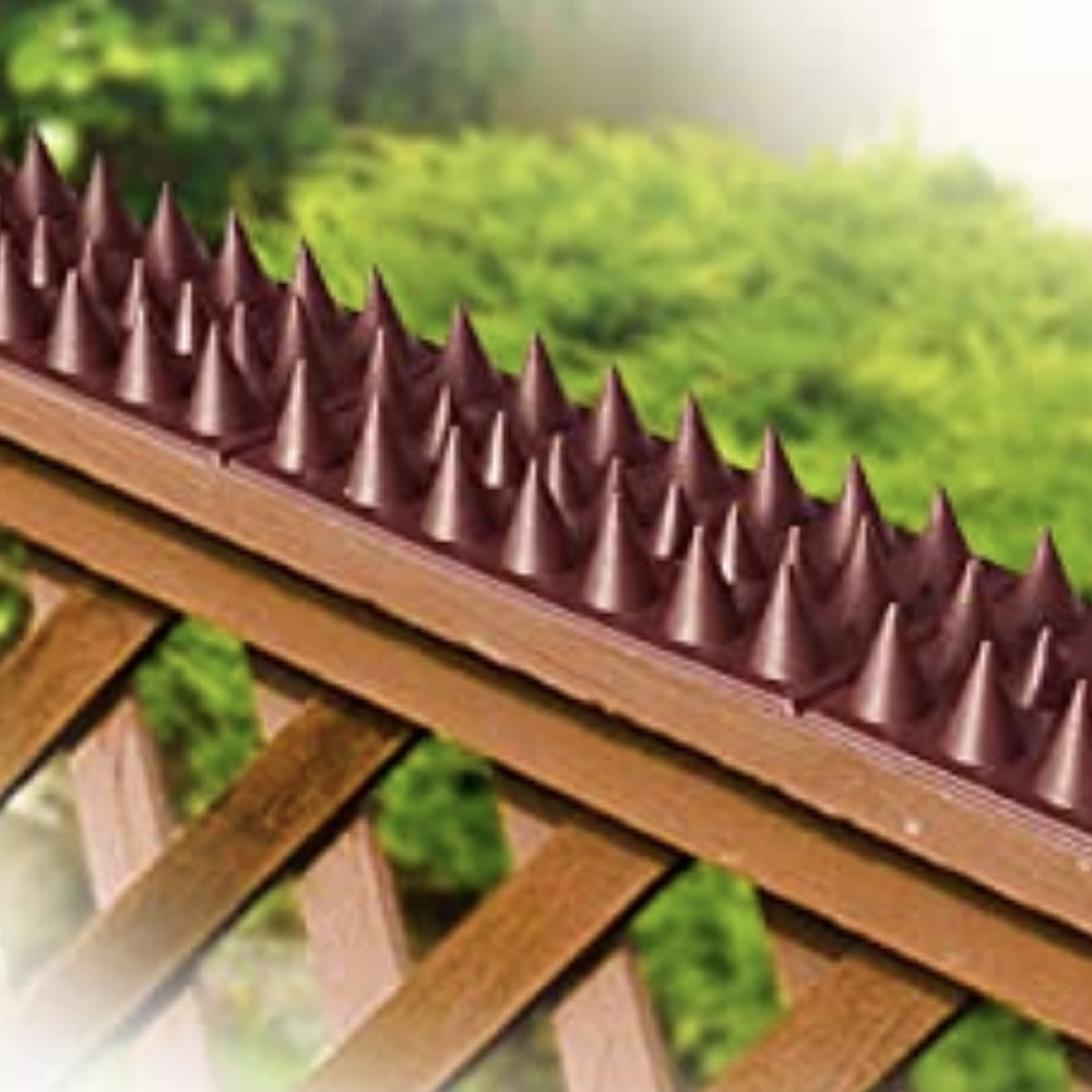 Cat Spikes, image 6