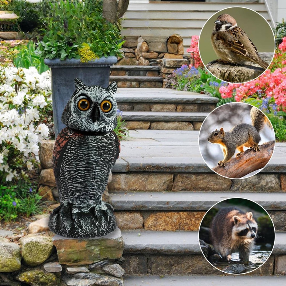 Fake Owl Decoy, image 3