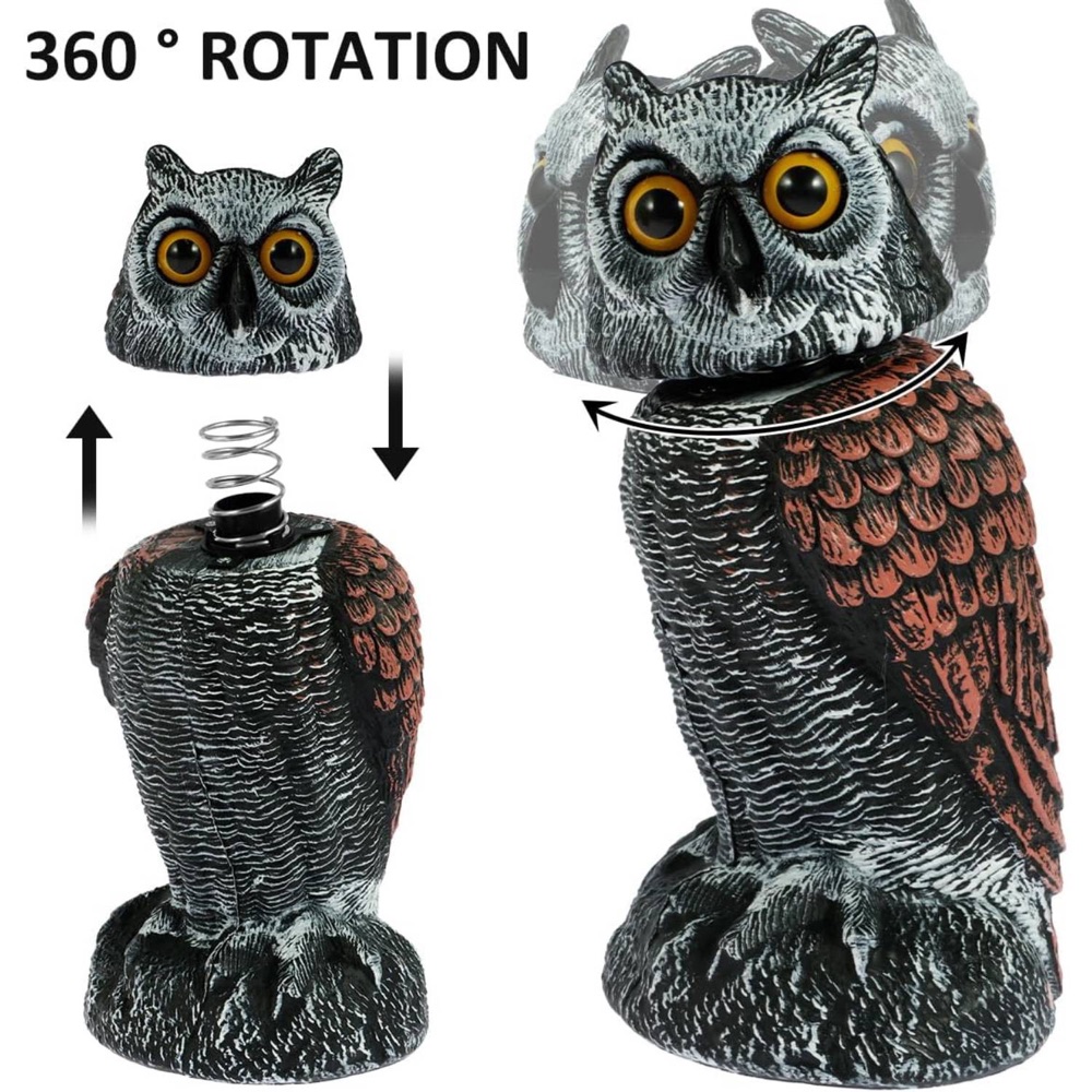 Fake Owl Decoy, image 5