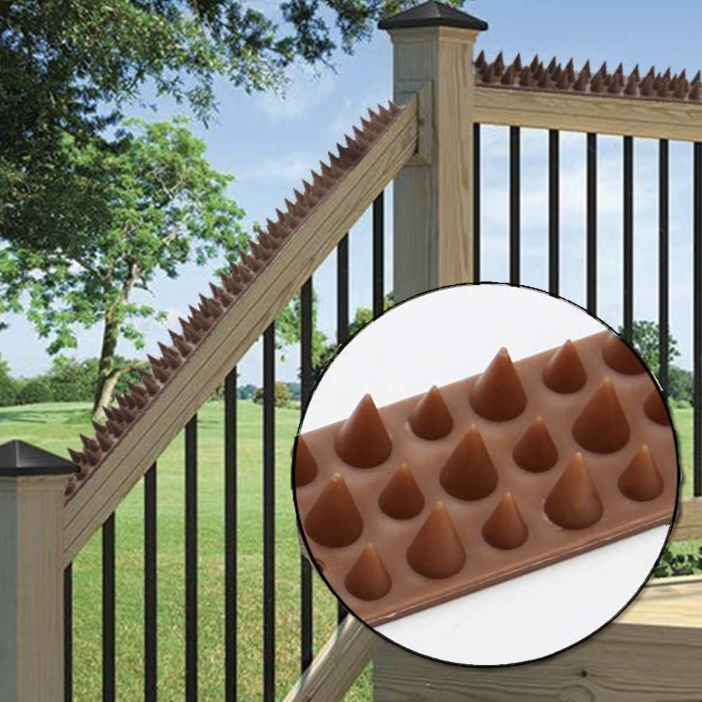 Squirrel Spikes, image 6