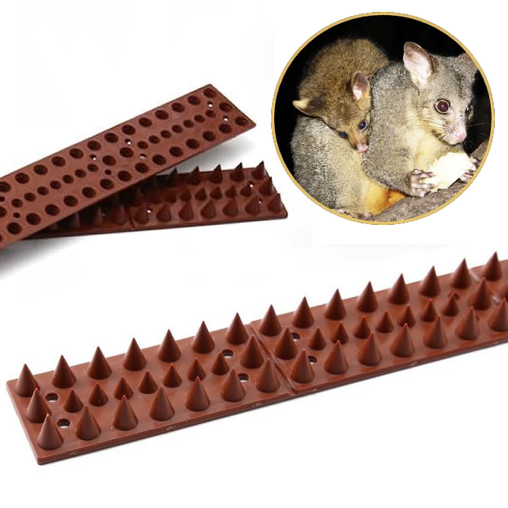 Squirrel Spikes